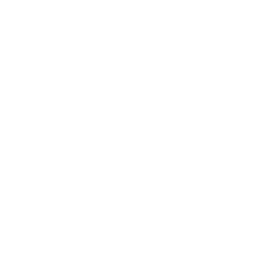logo icon